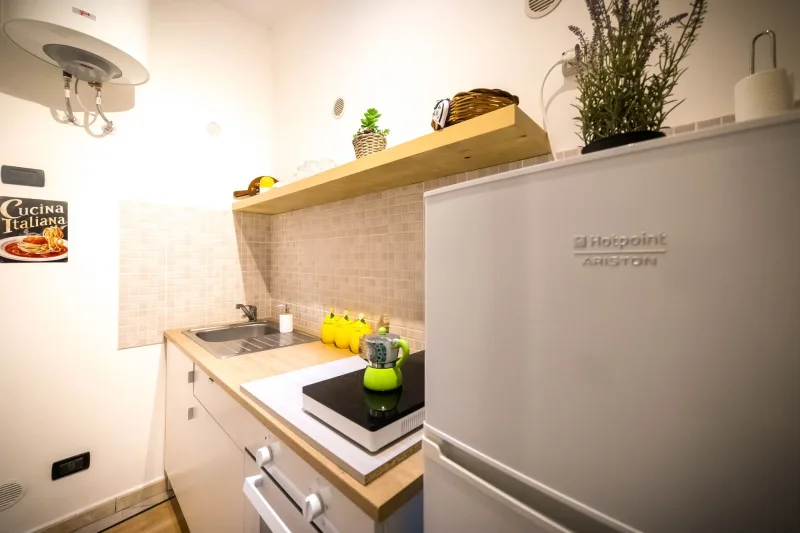 Kitchen with hob and fridge