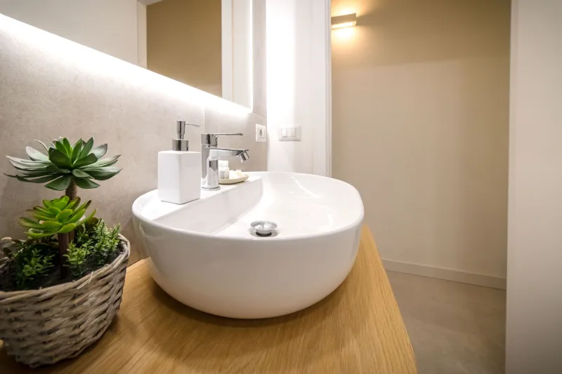 Bathroom with bowl washbasin and succulents