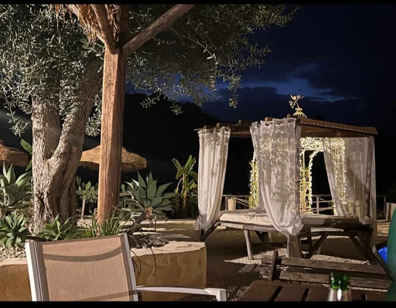 Gazebos and olive tree lit at night