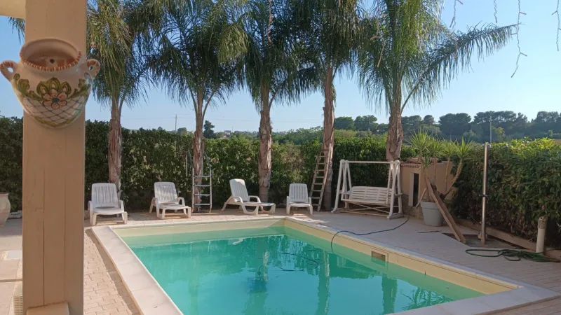 Pool with loungers and palm trees